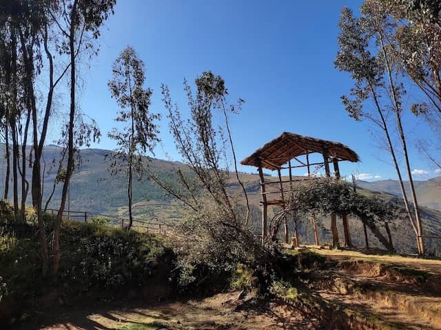 Amaru Pozo - Image 1