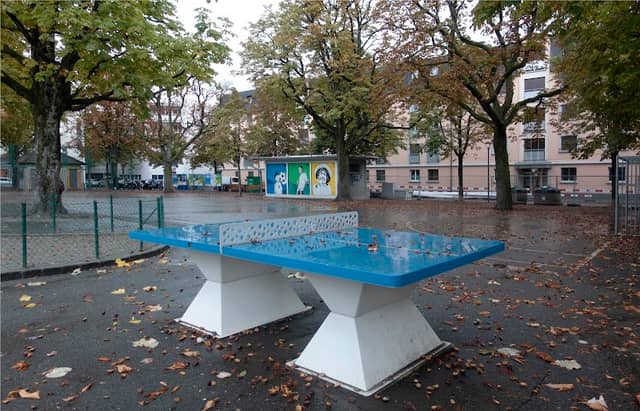 Place Robin - Image 2