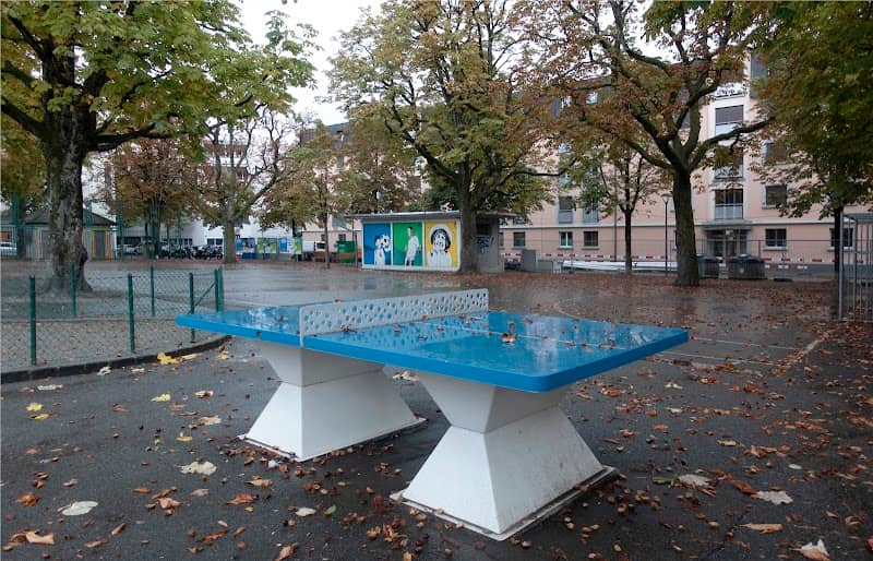 Place Robin - Image 2