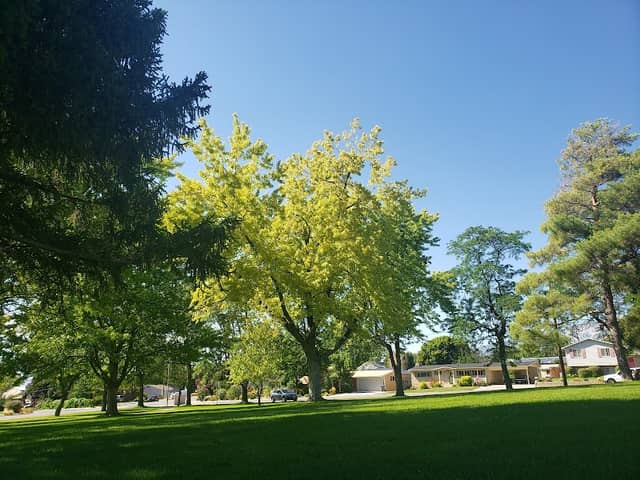 Veterans Memorial Park - Image 1