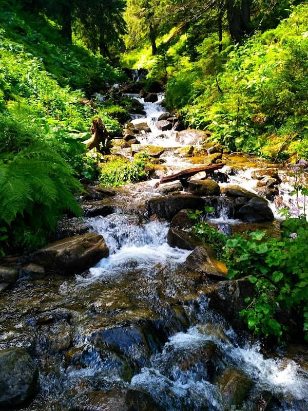 Hoverlyanske Falls - Image 1