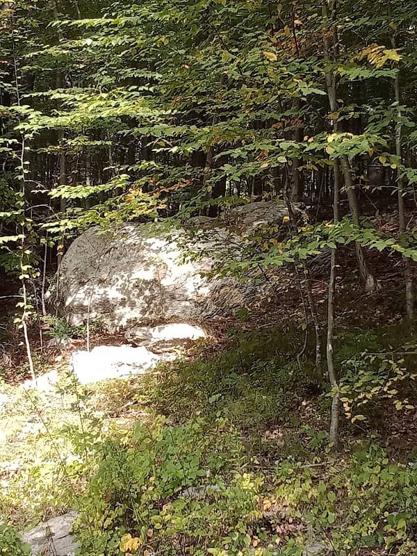Westville Lake Community Path - Image 1