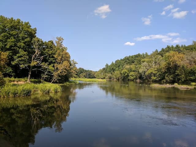 White Pines Nature Preserve - Image 1