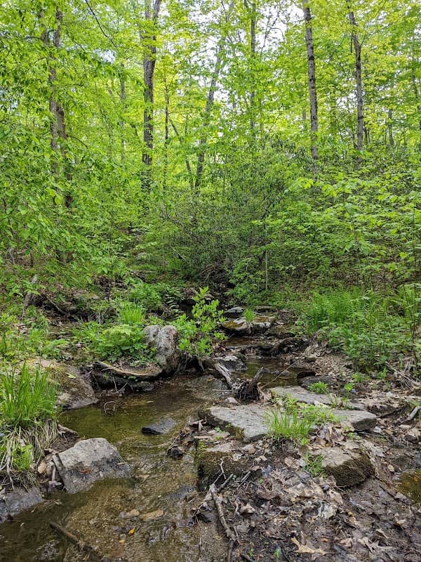 New England Trail - Mattabesset Section - Bear Hill - Image 1