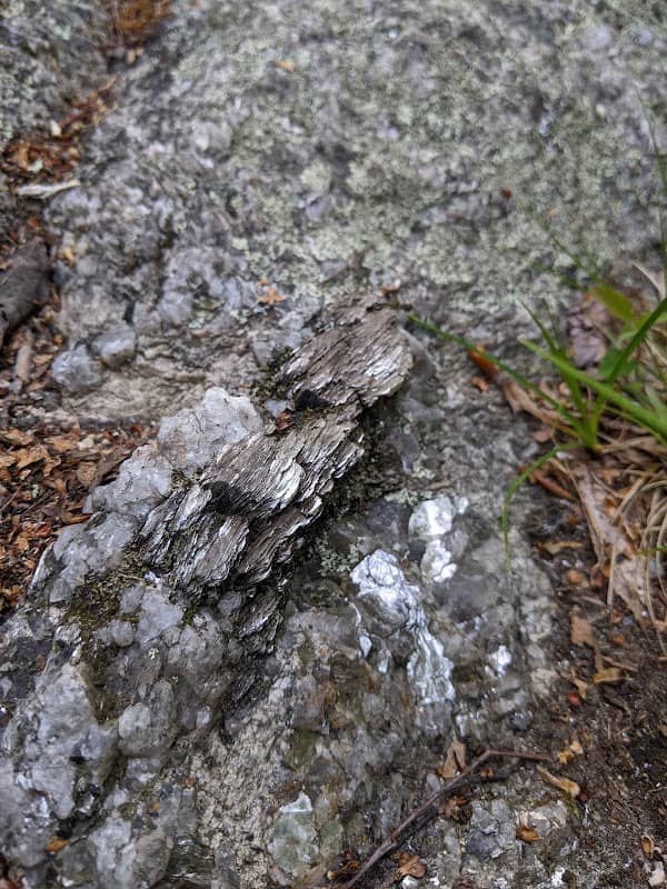 New England Trail - Mattabesset Section - Bear Hill - Image 2