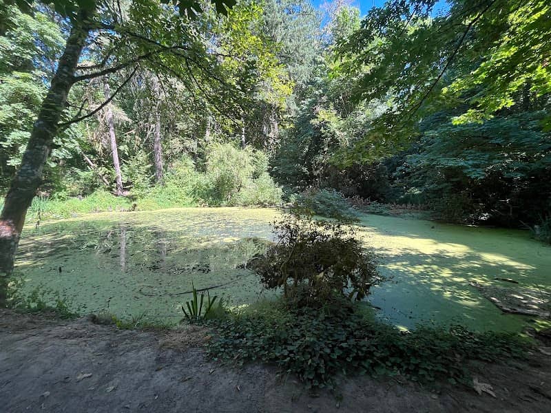 Faris Lake - Image 1