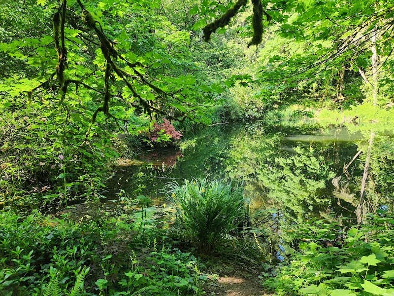 Faris Lake - Image 2