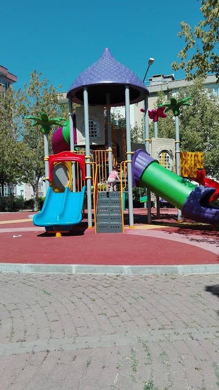 Condition Park - Image 2