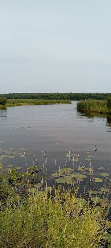 Nara River Boardwalk North Trails - Image 1
