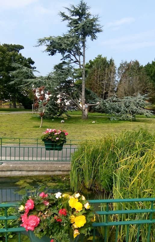 The Friendship Tree - Image 2