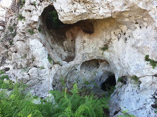 Grotta del Mammino - Image 1