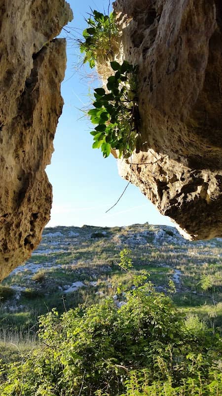 Grotta del Mammino - Image 2