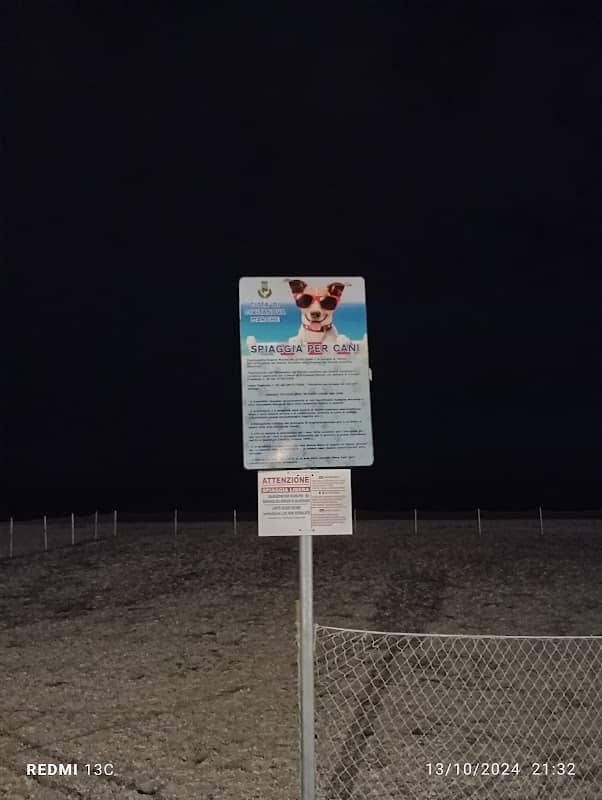 Spiaggia per cani - Image 1