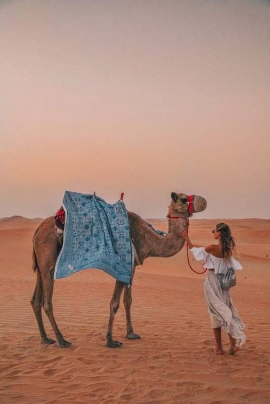 Royal Dubai Tours - Image 1