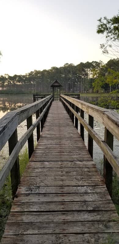 Pinelog State Forest Youth Pavilion - Image 2
