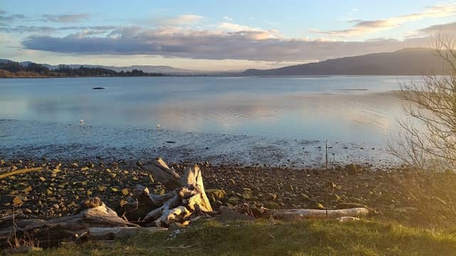 Al Griffin Memorial Park - Image 2