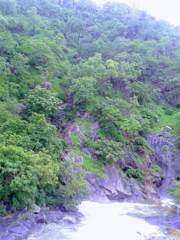 Hathi Pul - Image 1