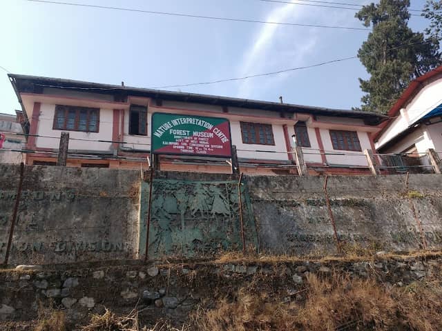 Forest Museum - Image 1