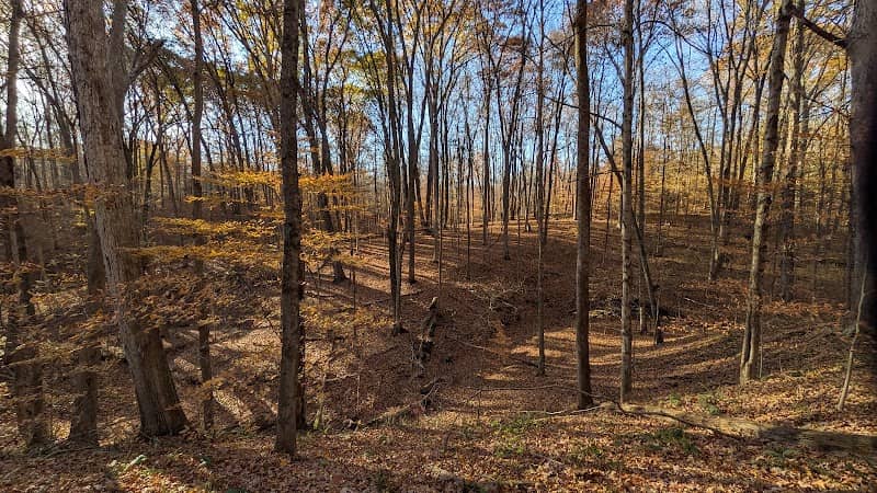Betley Woods At Glacier’s End - Image 1