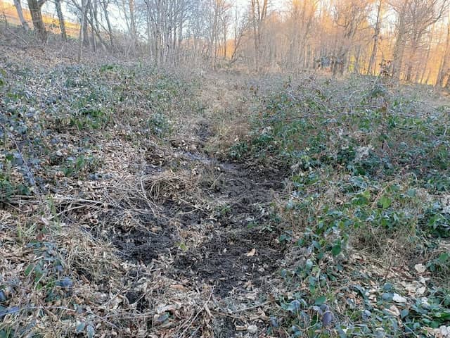 Sorgente del Fiume Lura - Image 1