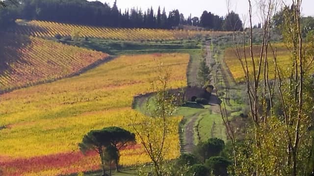Giardino Pubblico - Image 1