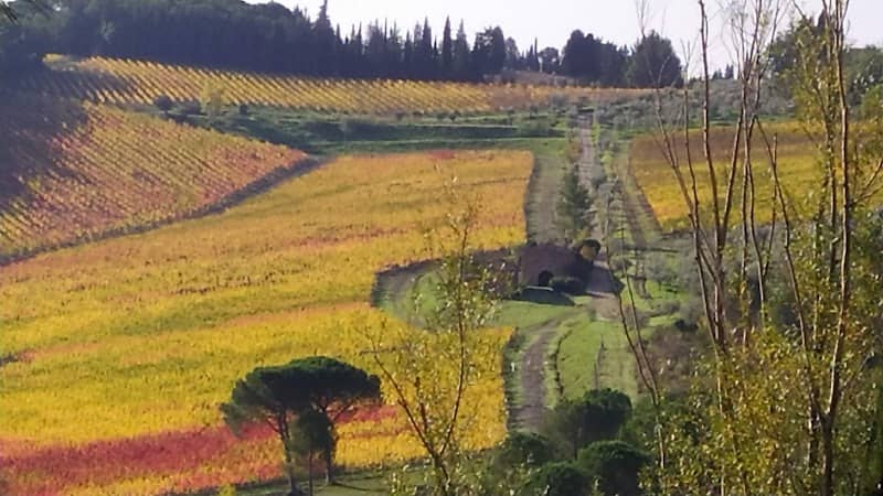 Giardino Pubblico - Image 1