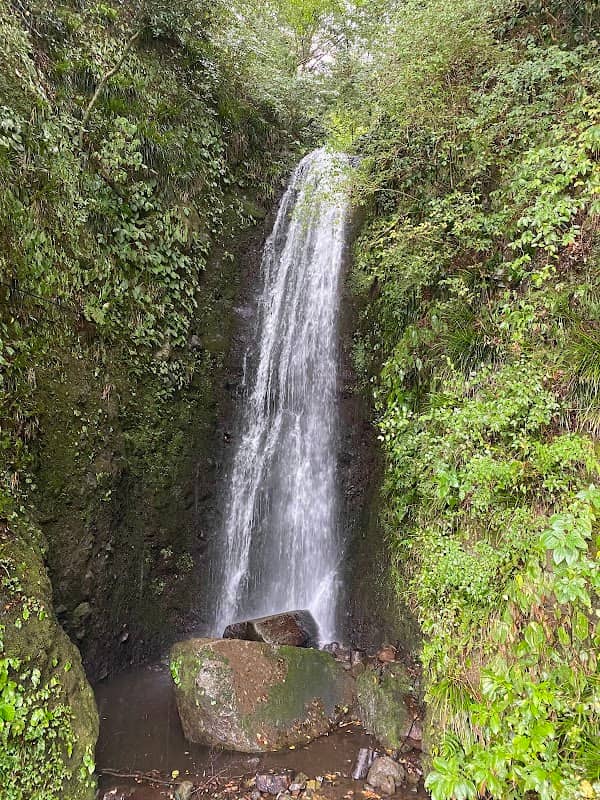 Kawazu-no-taki Waterfall - Image 1