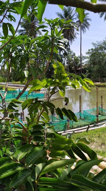 DANAYA FISHERY & FARM - Image 1
