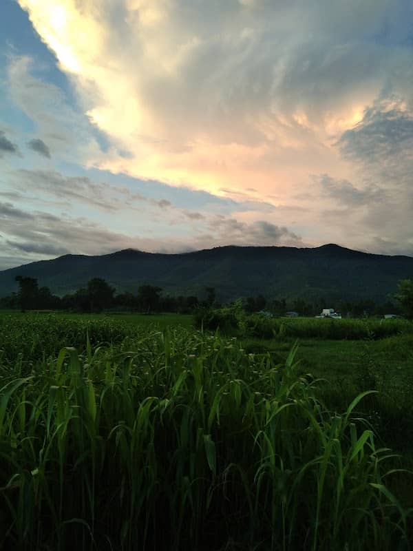 रुपौलिया चोक, सुस्ता - Image 1