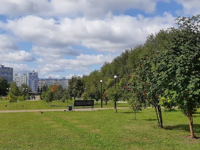 Park Neftekhimikov - Image 1