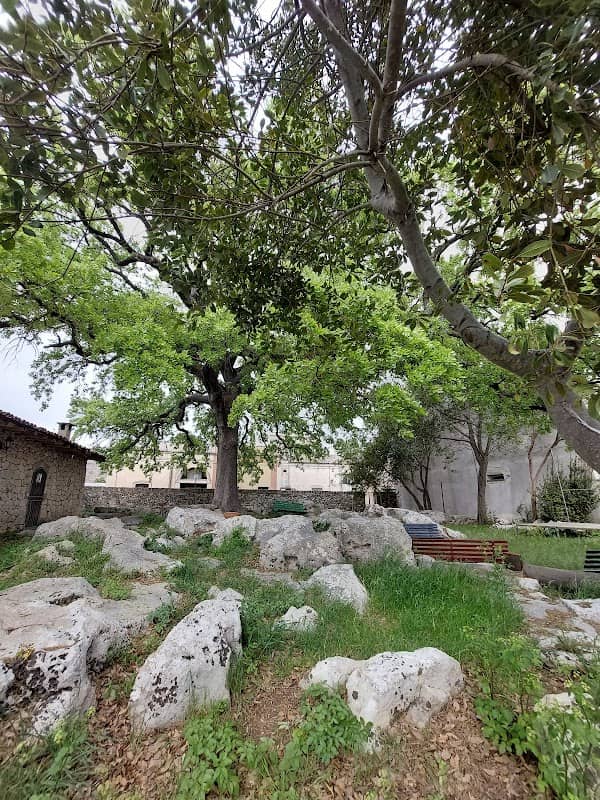 Quercia Vallonea di Corigliano d'Otranto - Image 1