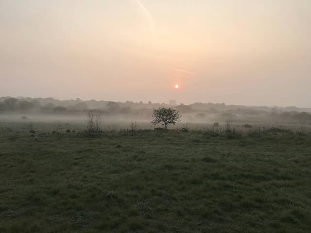 Hillbury Meadow - Image 1