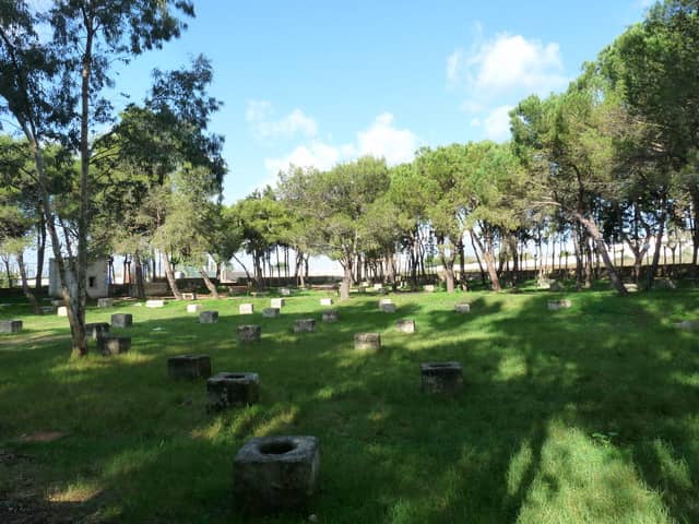 Parco Pozzelle - Image 1