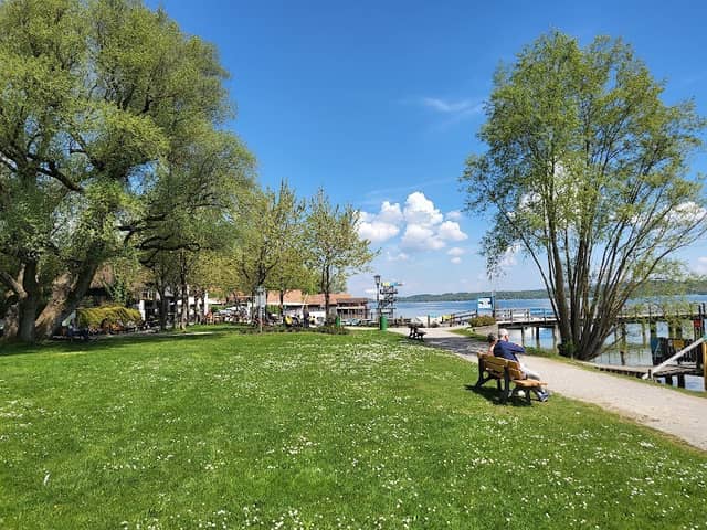 Summer Park - Image 1