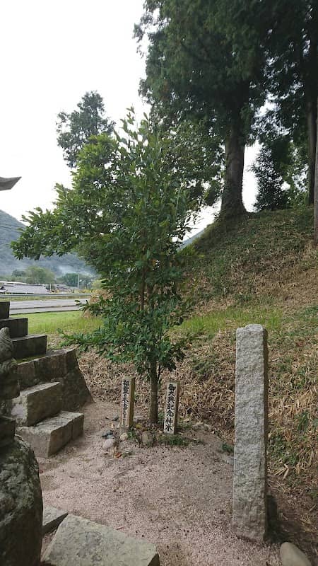 上皇陛下 御大典記念神木 - Image 1