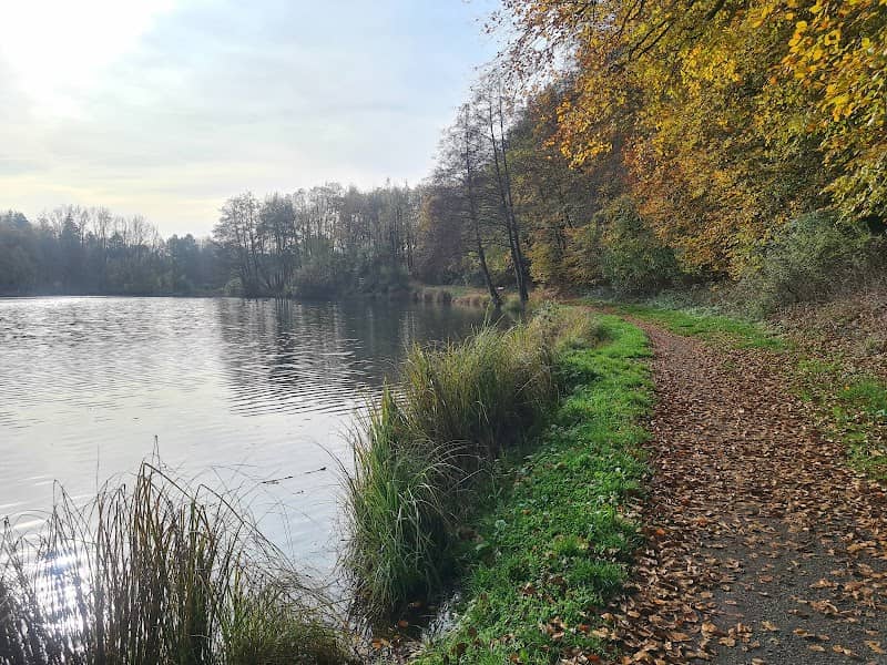 Holzmaar - Image 1