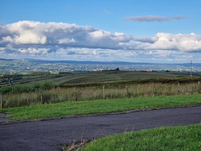 Pigeon Top - Image 1