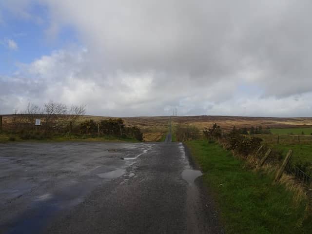 Pigeon Top - Image 2
