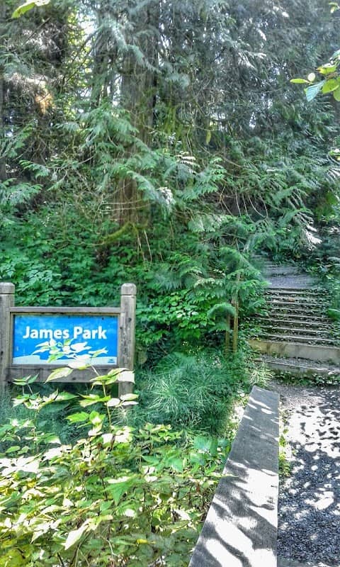 James Park - Image 2