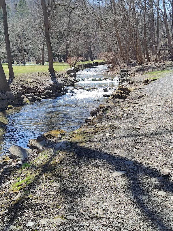 Elmwood Park - Image 1