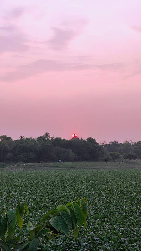 মাইজগাঁও লেক - Image 2