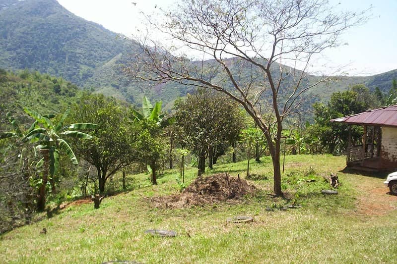 Finca el triangulo - Image 1
