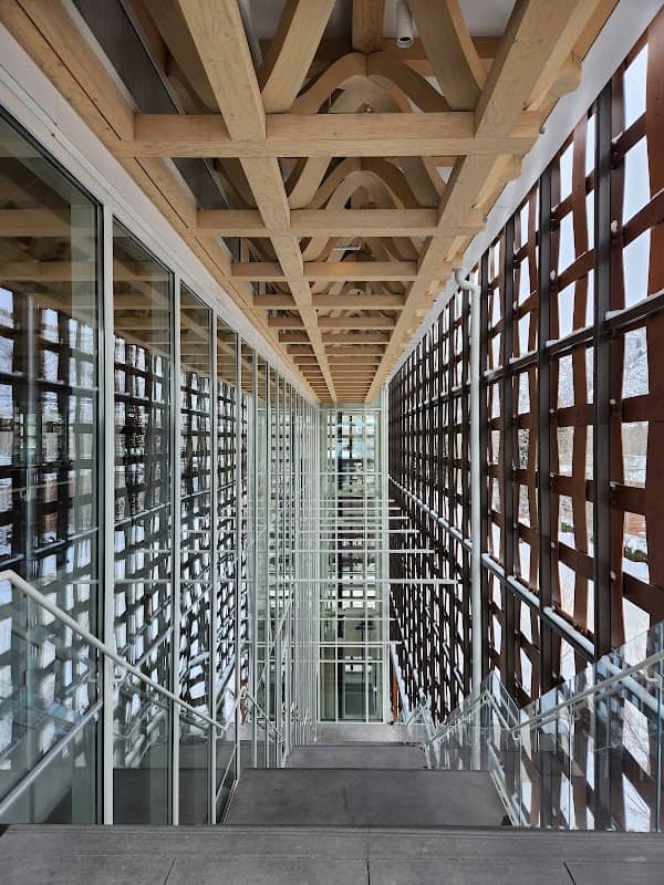 Aspen Art Museum - Image 2