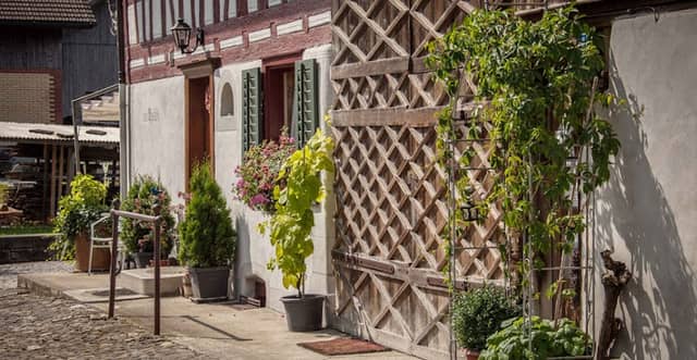 Weingut-Bosch - Image 1