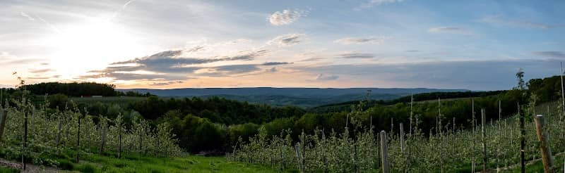 Boyer Orchards LLC - Image 1