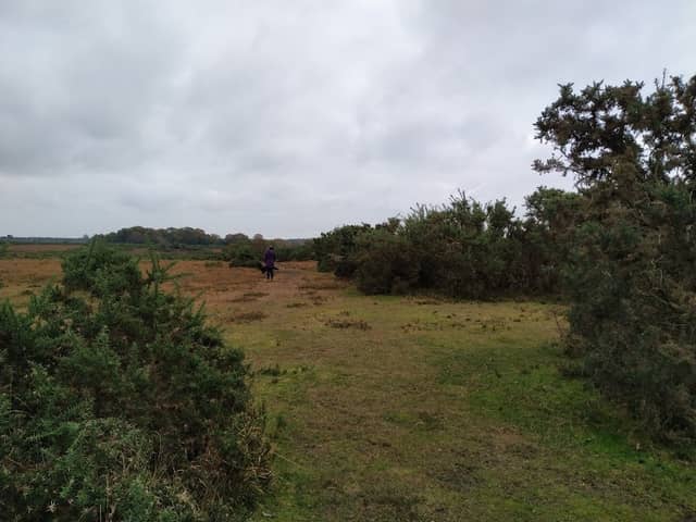 Crockford Inclosure - Image 1