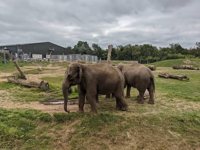 Blackpool Zoo - Image 2