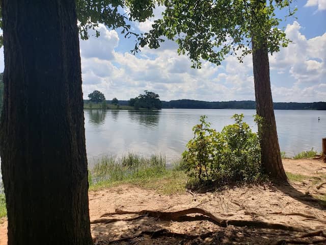Bear-Creek Reservoir Public Fishing Area - Image 1
