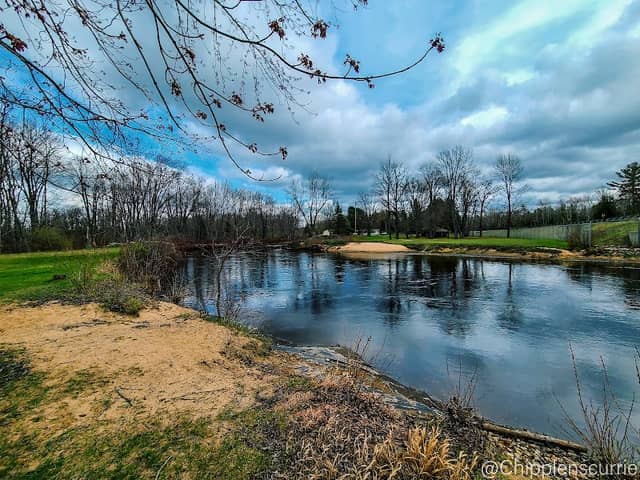 Leota Community Bridge - Image 1