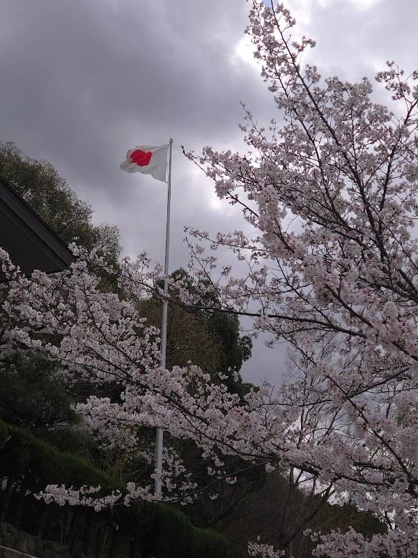 チャーシューのおうちの一本桜 - Image 2